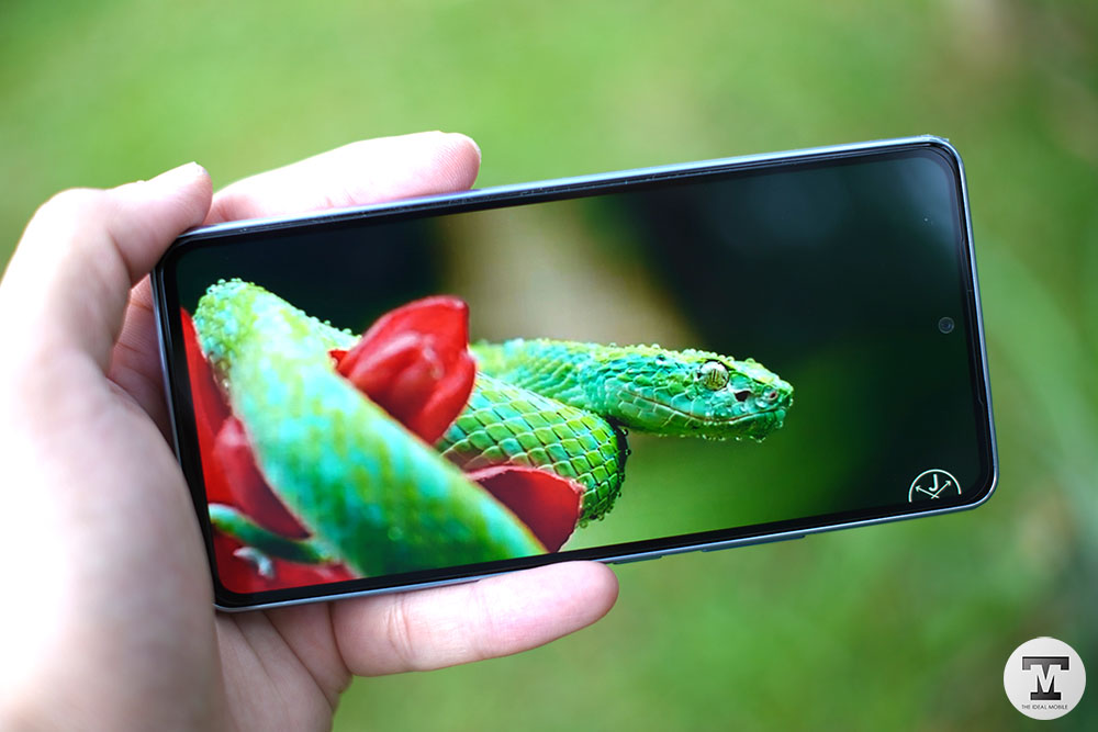 Samsung Galaxy A53 5G Display